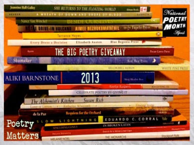 Poetry Giveaway 2013
